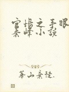 官场之手眼通天秦峰小说