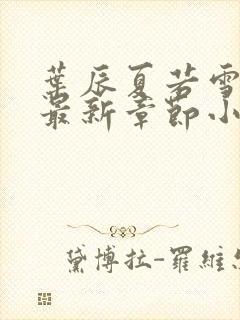 叶辰夏若雪孙怡最新章节小说