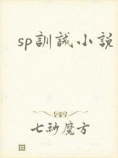 sp训诫小说