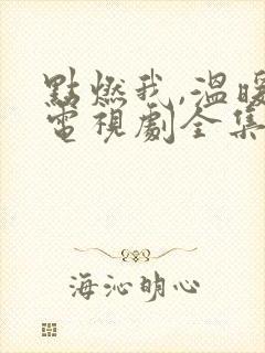 点燃我,温暖你电视剧全集免费下载