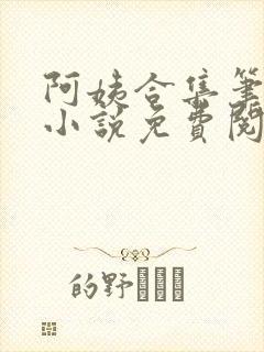 阿姨合集笔趣阁小说免费阅读封面