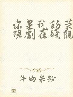 你是我的荣耀电视剧在线观看完整版免费