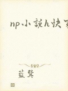np小说h快穿