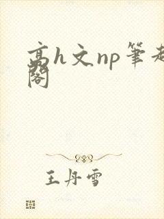 高h文np笔趣阁