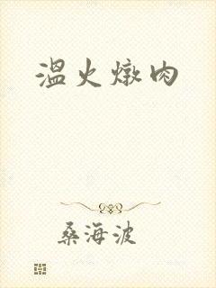 温火炖肉封面
