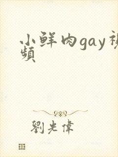 小鲜肉gay视频