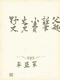 野火小说父女全文免费笔趣阁封面