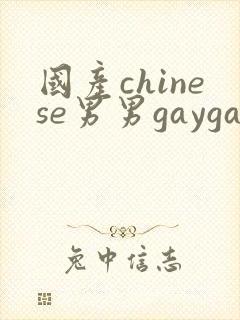 国产chinese男男gaygay 网站