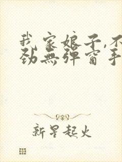 我家娘子,不对劲无弹窗手机版