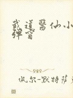 武道医仙小说无弹窗