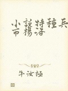 小说特种兵在都市杨洛