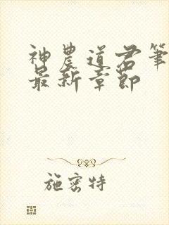 神农道君笔趣阁最新章节