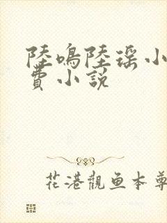 陆鸣陆瑶小说免费小说