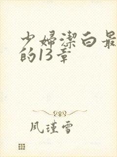 少妇洁白最刺激的13章