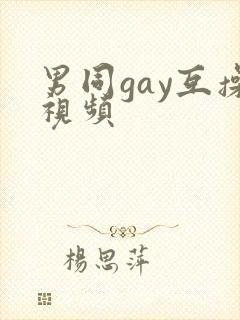 男同gay互操视频