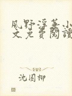 风野浮华小说全文免费阅读无弹窗