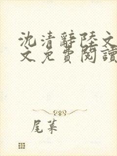 沈清辞陆文渊全文免费阅读