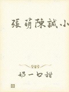 张萌陈诚小说封面