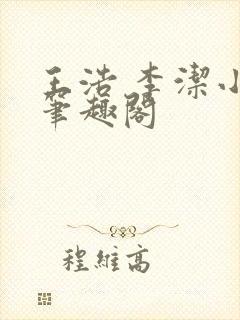 王浩 李洁小说笔趣阁