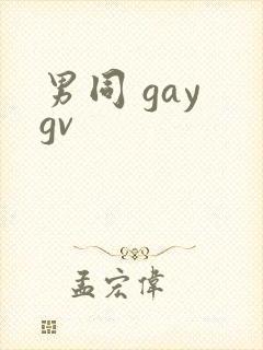 男同 gay gv