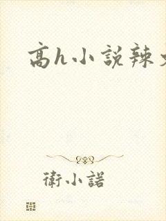 高h小说辣文