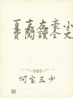 夏末左豪小说免费阅读全文无弹窗封面