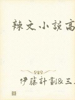 辣文小说高h封面