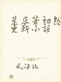 叶辰萧初然最快更新小说