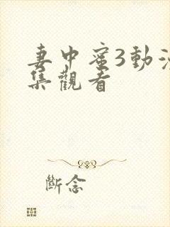 妻中蜜3动漫全集观看