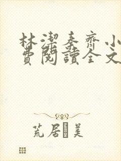 林洁秦齐小说免费阅读全文最新章节