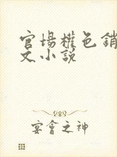 官场权色销魂h文小说