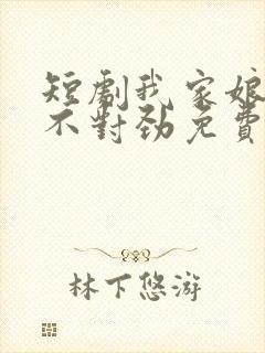 短剧我家娘子 不对劲免费观看