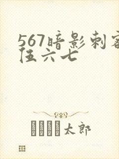 567暗影刺客伍六七封面