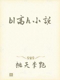 bl高h小说