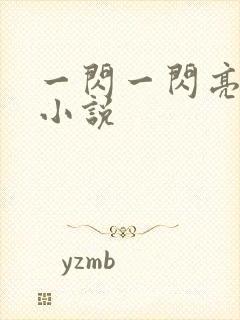 一闪一闪亮星星小说