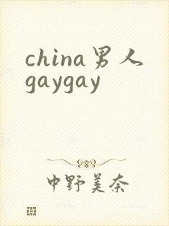 china男人gaygay封面