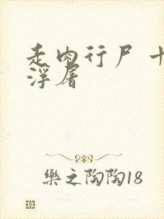 走肉行尸 十阶浮屠封面