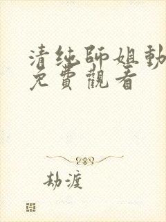 清纯师姐动画片免费观看