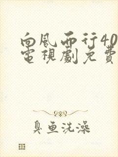 向风而行40集电视剧免费观看完整版封面