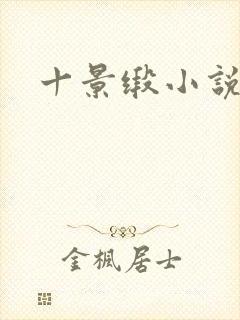十景缎小说
