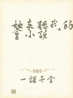 她来听我的演唱会小说