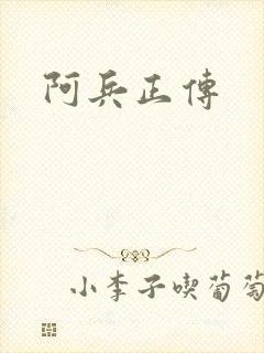 阿兵正传封面