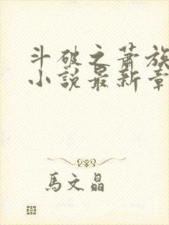 斗破之萧族冰圣小说最新章节