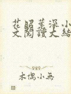 花昭叶深小说全文阅读大结局封面