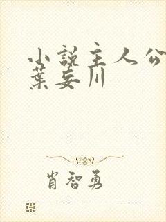 小说主人公乔念叶妄川