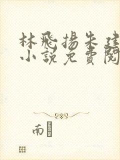 林飞扬朱建军的小说免费阅读封面