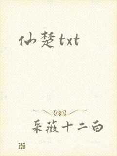 仙楚txt