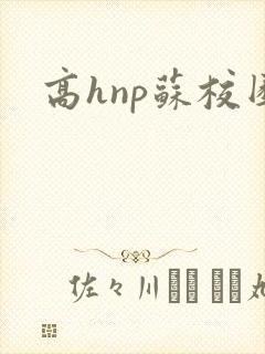 高hnp苏校园