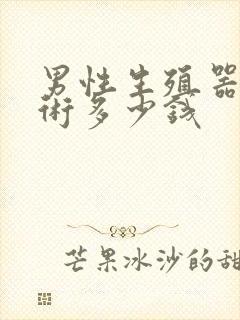 男性生殖器延长术多少钱