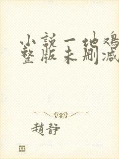 小说一地鸡毛完整版未删减小说